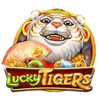 DG Live Casino Provider