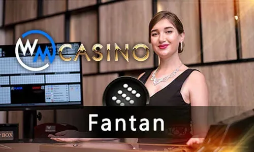 Bingo Beginner Guide